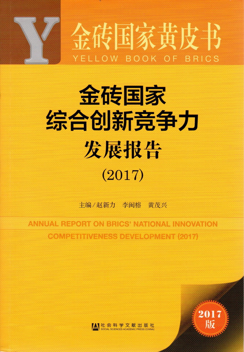 被大鸡巴操视频金砖国家综合创新竞争力发展报告（2017）